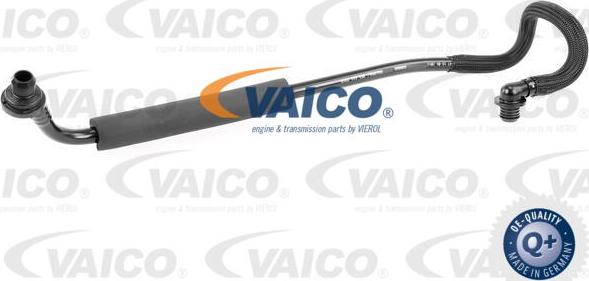 VAICO V10-3667 - Survevoolik,pidurisüsteem epood.avsk.ee