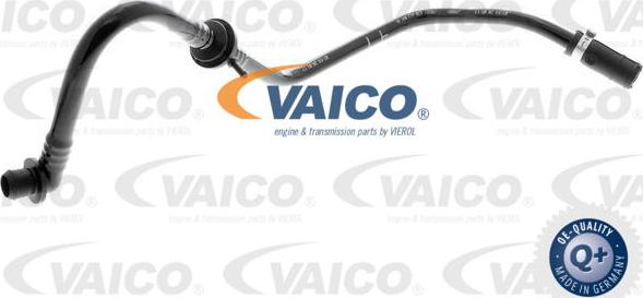 VAICO V10-3604 - Survevoolik,pidurisüsteem epood.avsk.ee